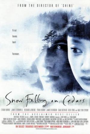 Snow Falling on Cedars