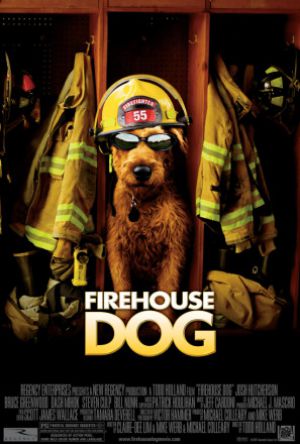 Firehouse Dog