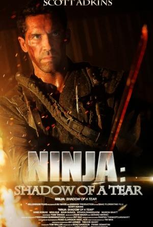 Ninja: Shadow of a Tear