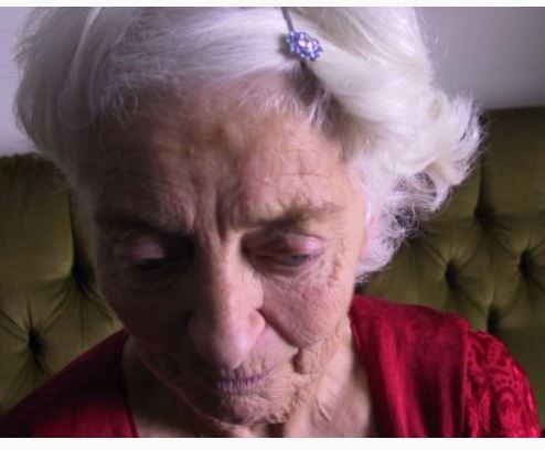 While the Cat's Away