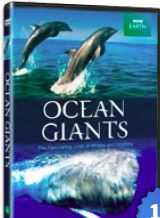 Ocean Giants